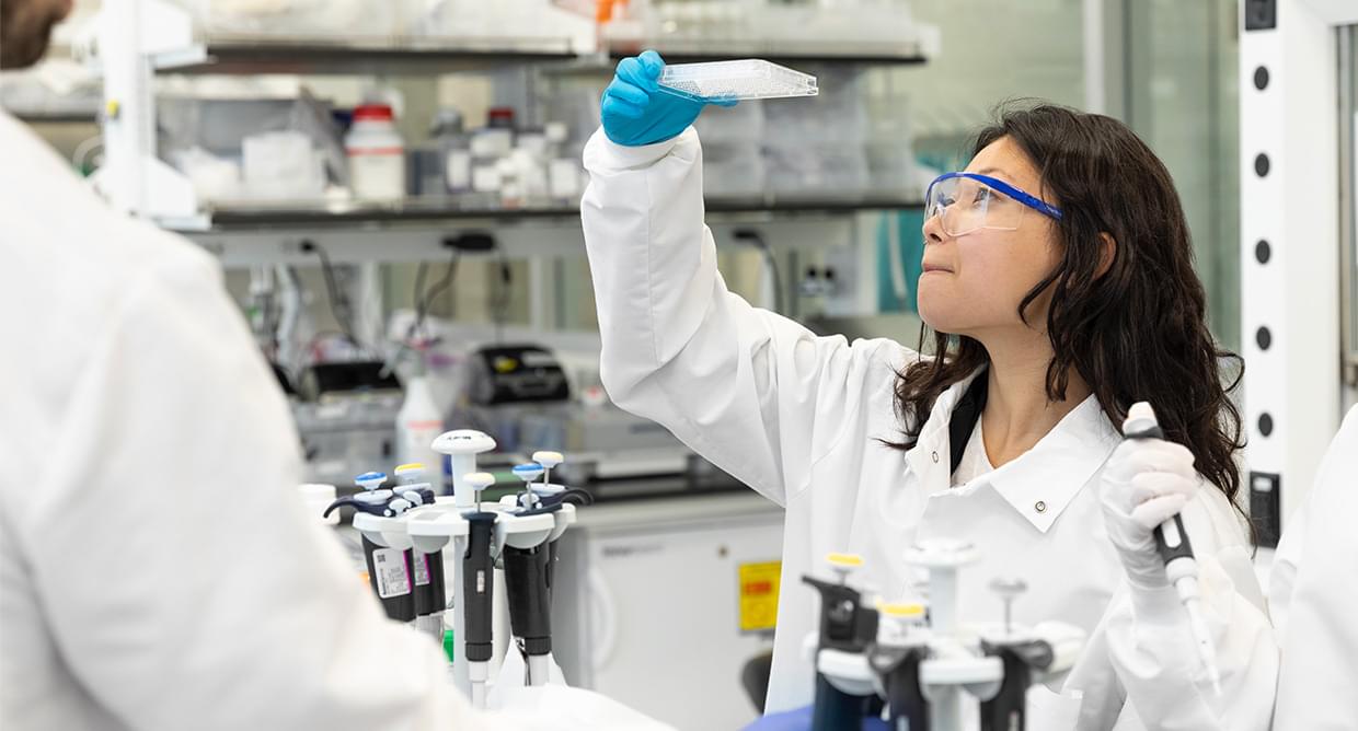 Image of scientist looking at vials