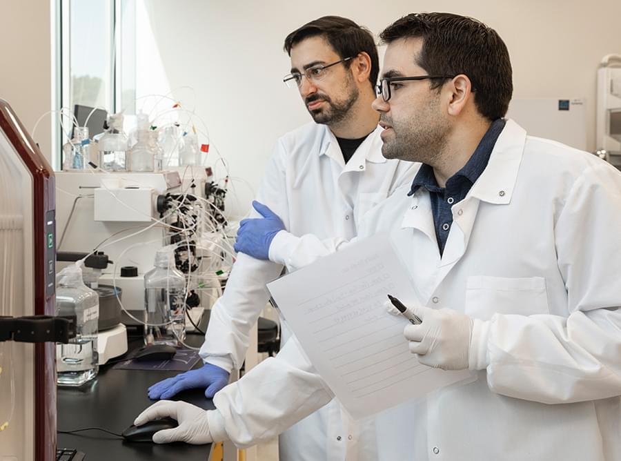 Image of two scientists conducting research in a lab